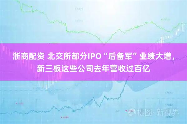 浙商配资 北交所部分IPO“后备军”业绩大增，新三板这些公司去年营收过百亿