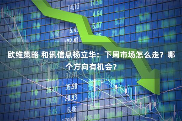 欧维策略 和讯信息杨立华：下周市场怎么走？哪个方向有机会？